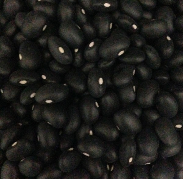 Buy Black Turtle Beans Beans / Legumes Micks Nuts