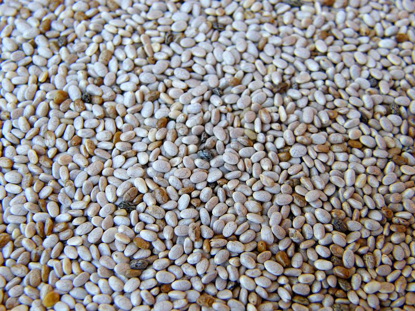 Buy White Chia Seeds Seeds / Grains Micks Nuts