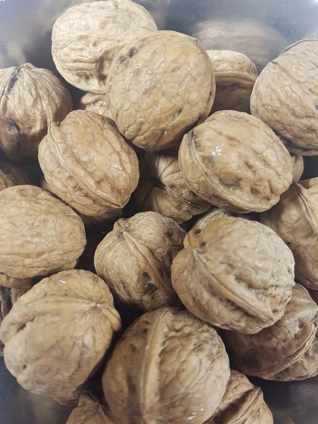 Buy Walnuts in Shell Nuts Micks Nuts